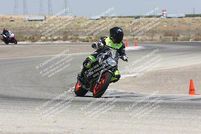 media/Aug-03-2024-TrackDaz (Sat) [[30bed884ff]]/C Group/1240pm (Grapevine)/